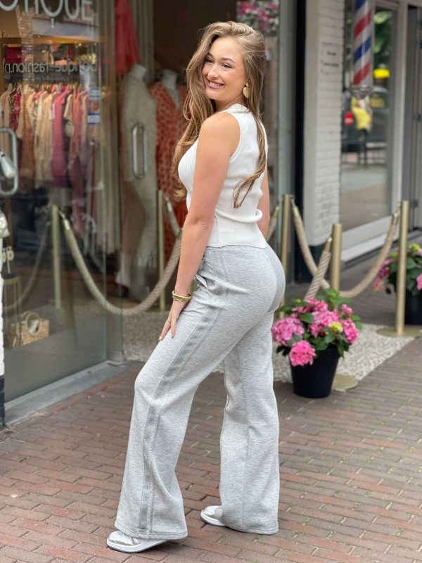 Ambika Gigi Grijze Broek Met Zilver Lurex