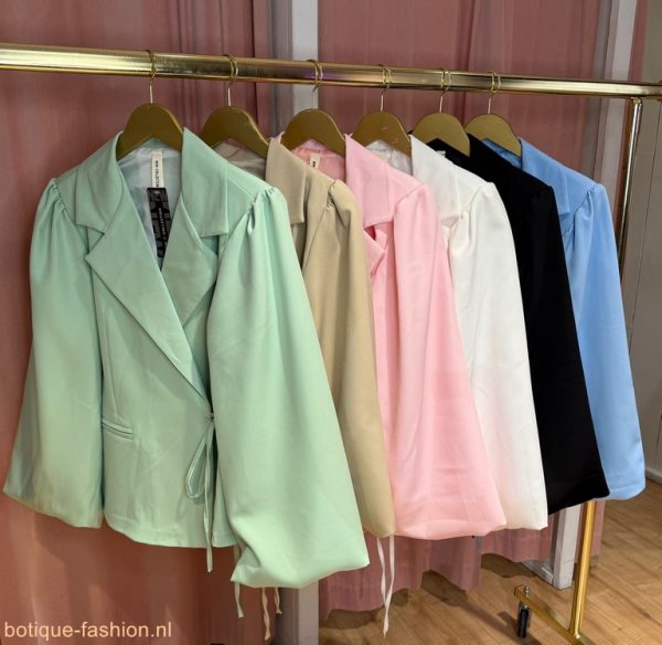 Lange Pofmouw Strik Blazer in 6 kleuren